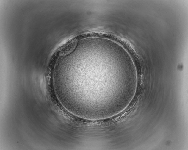 X0000099501159200805221354