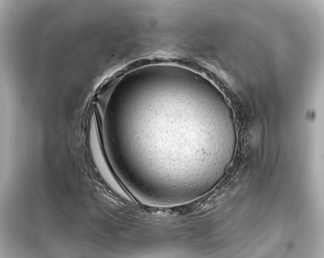 X0000099501160200805221354