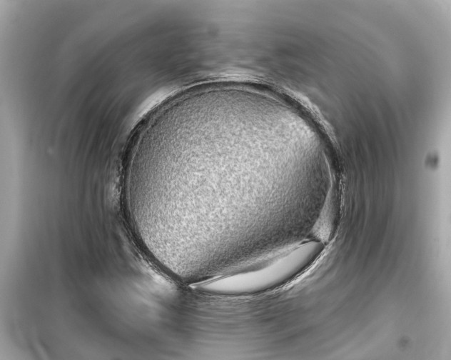 X0000099501163200805221354