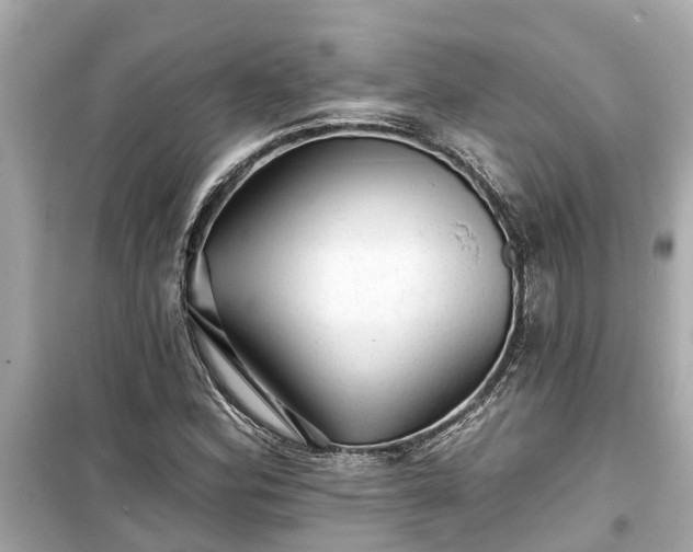 X0000099501164200805221354