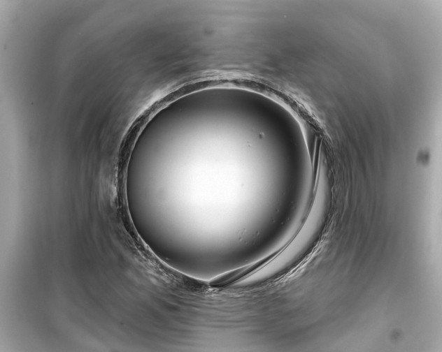 X0000099501165200805221354