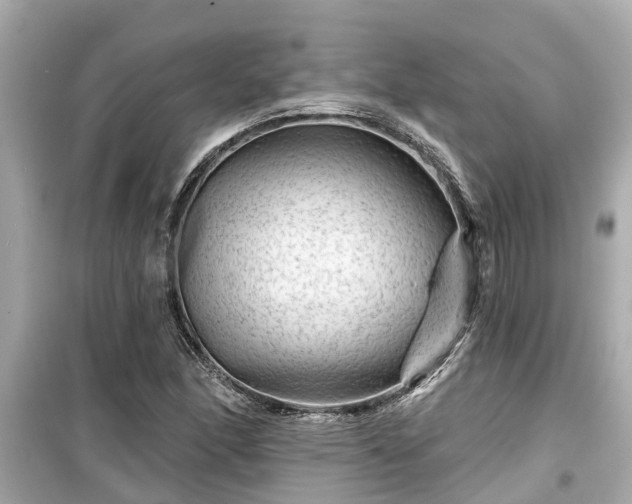 X0000099501166200805221354