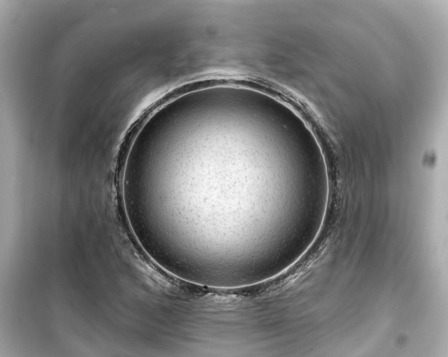 X0000099501168200805221354