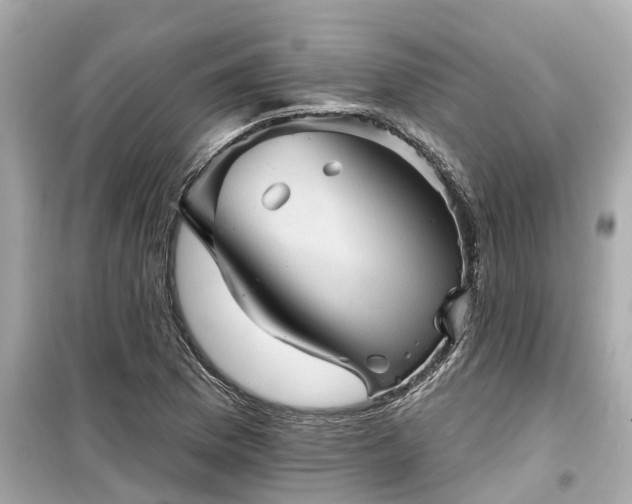 X0000099501169200805221354