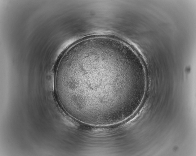 X0000099501171200805221354