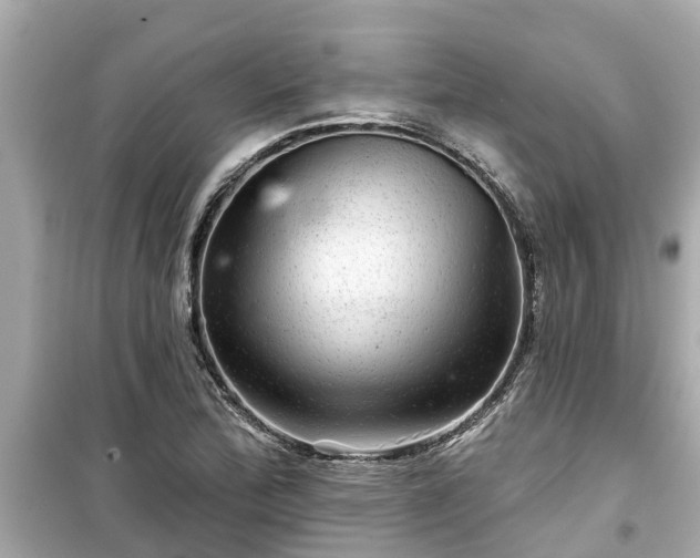 X0000099501172200805221354
