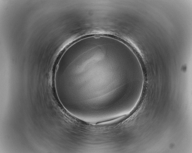 X0000099501173200805221354