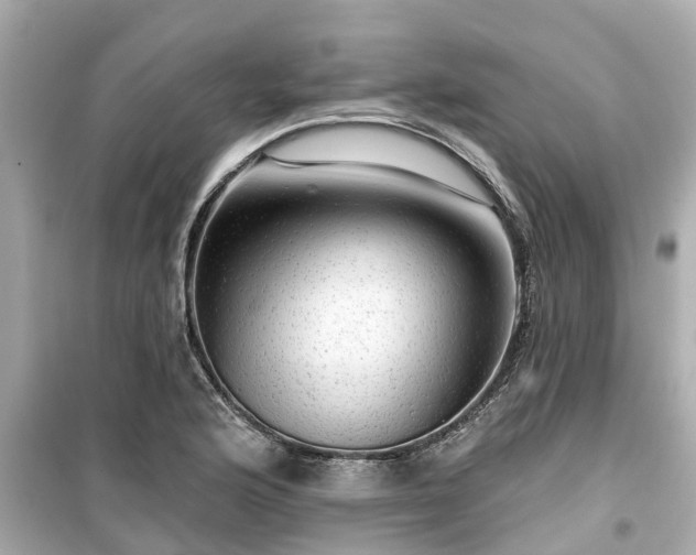X0000099501176200805221354
