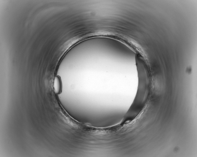 X0000099501177200805221354