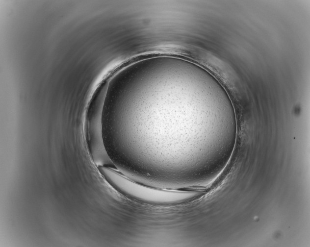 X0000099501180200805221354