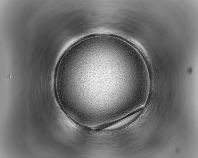 X0000099501183200805221354