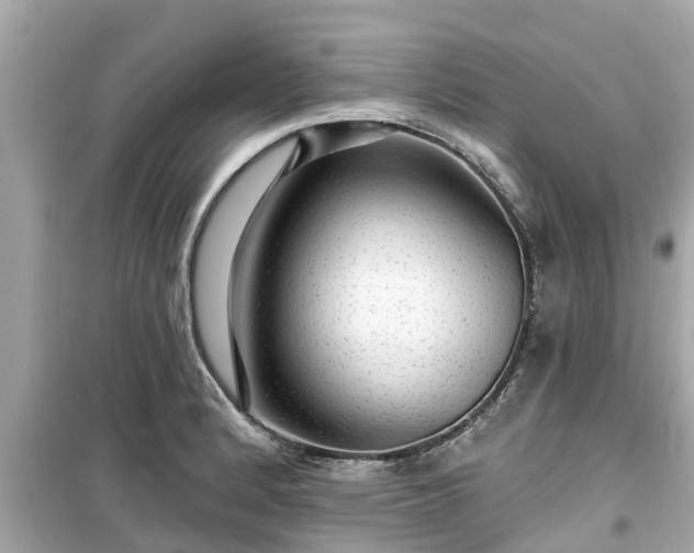 X0000099501184200805221354