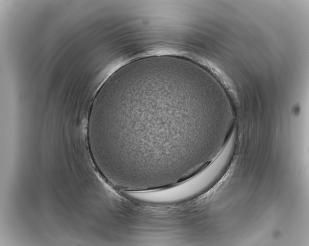 X0000099501185200805221354