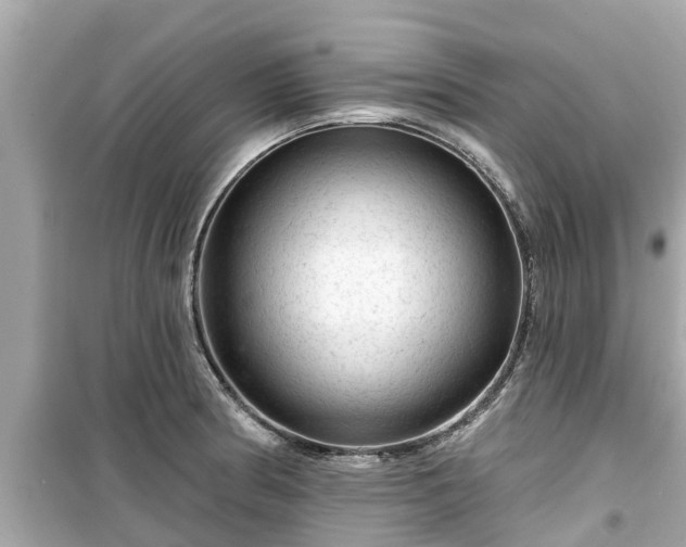 X0000099501186200805221354
