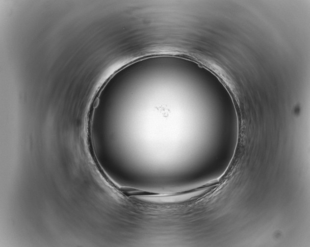 X0000099501187200805221354
