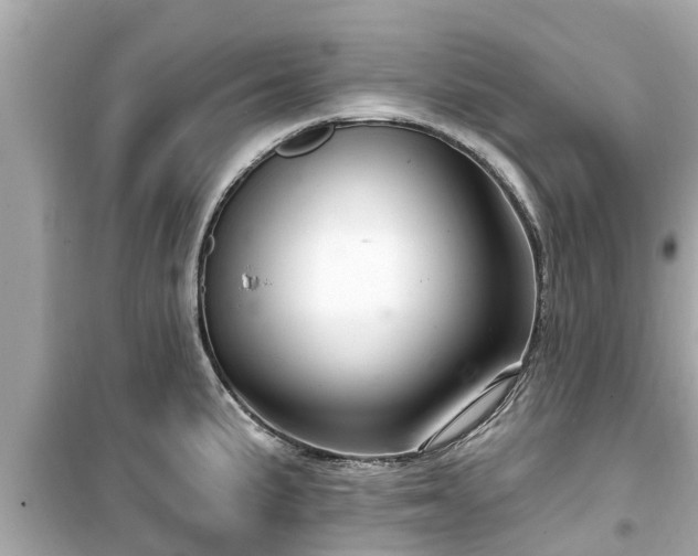 X0000099501191200805221354