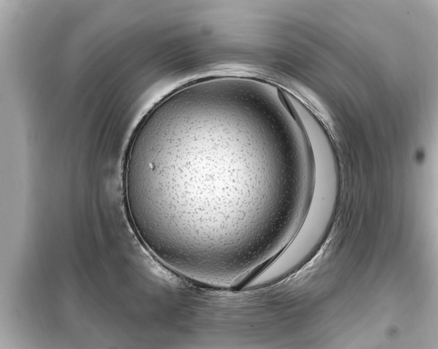 X0000099501192200805221353