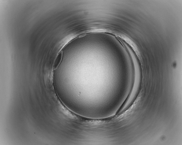 X0000099501193200805221353