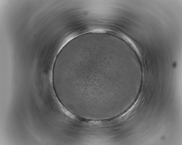 X0000099501194200805221353