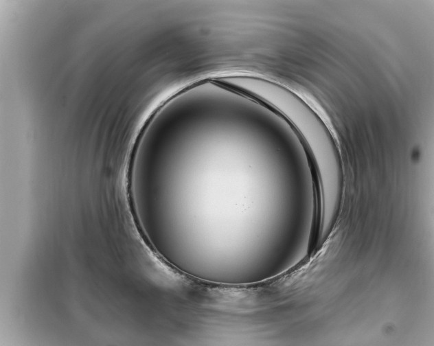 X0000099501197200805221353