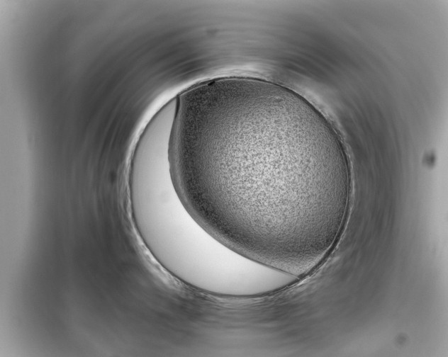 X0000099501200200805221353