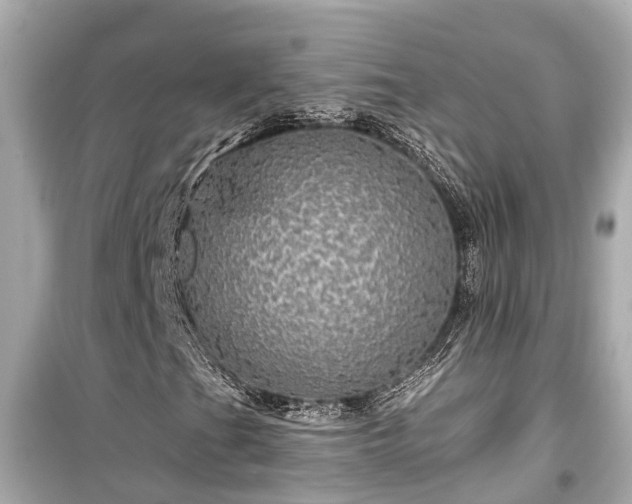 X0000099501201200805221353