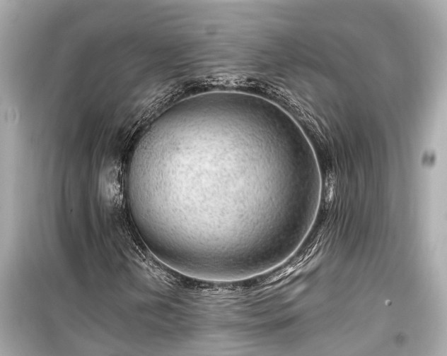 X0000099501202200805221353
