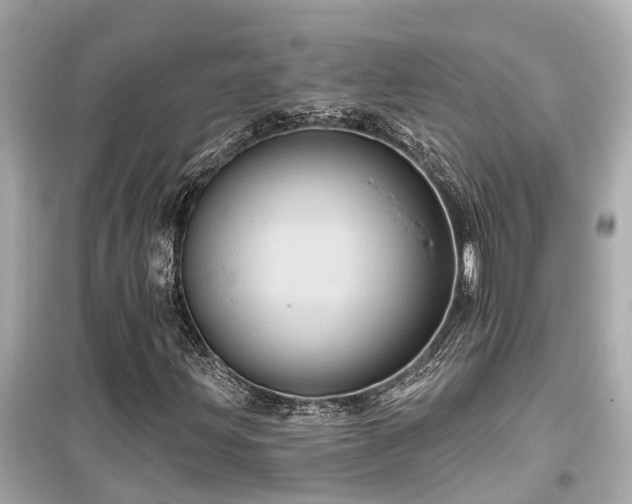 X0000099501203200805221353