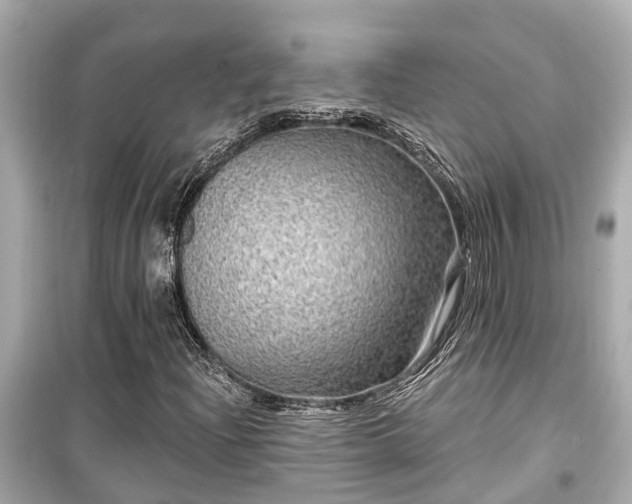X0000099501204200805221353