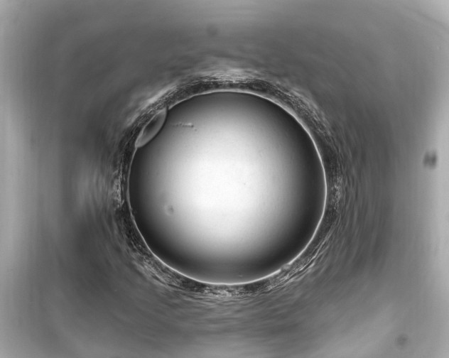 X0000099501205200805221353