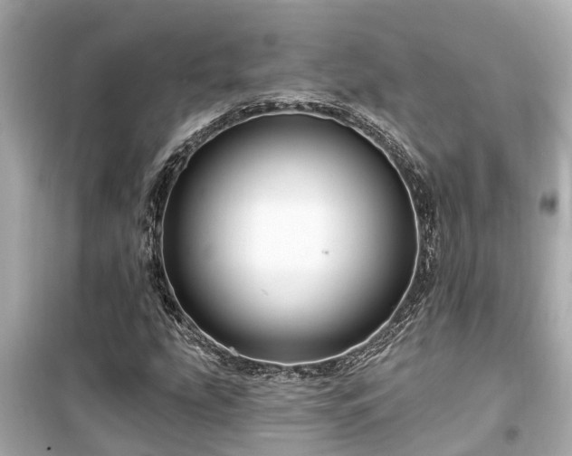 X0000099501207200805221353