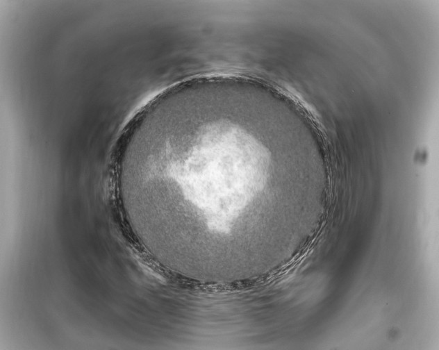 X0000099501208200805221353