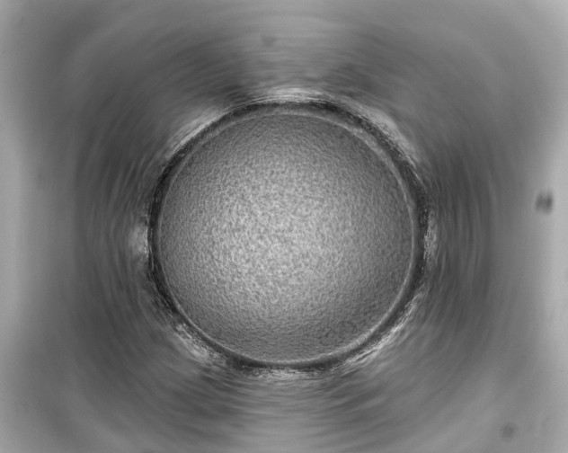 X0000099501209200805221353