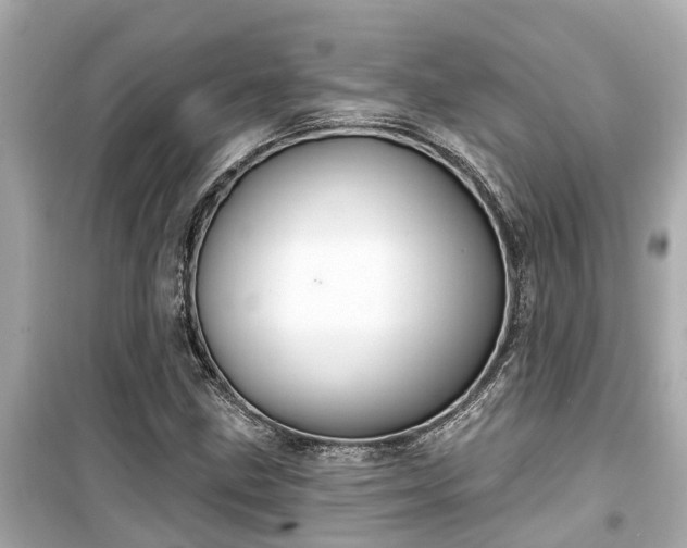 X0000099501211200805221353