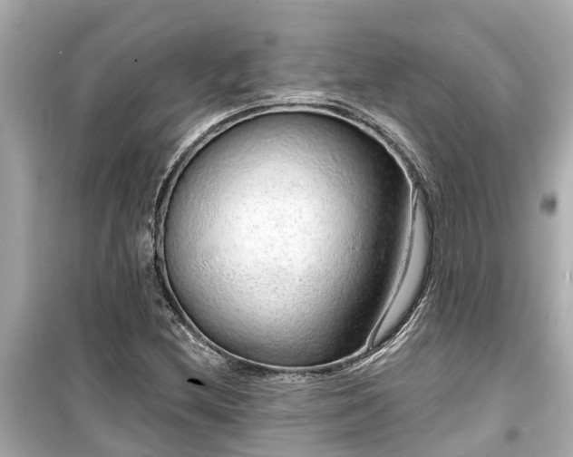 X0000099501212200805221353