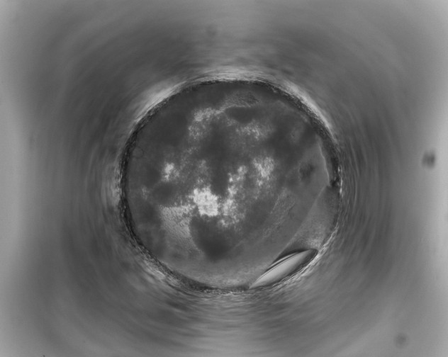X0000099501213200805221353