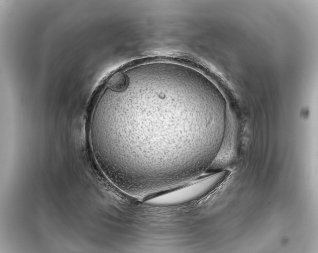 X0000099501214200805221353