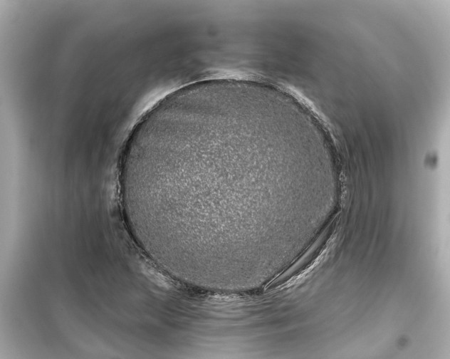 X0000099501215200805221353
