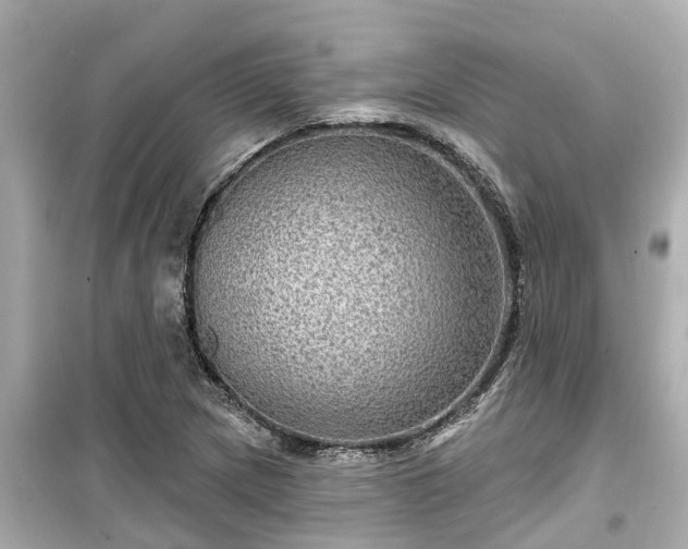 X0000099501217200805221353