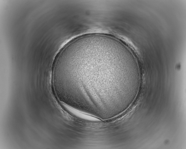 X0000099501220200805221353