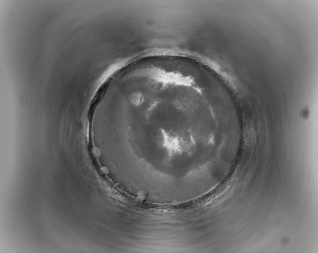 X0000099501221200805221353