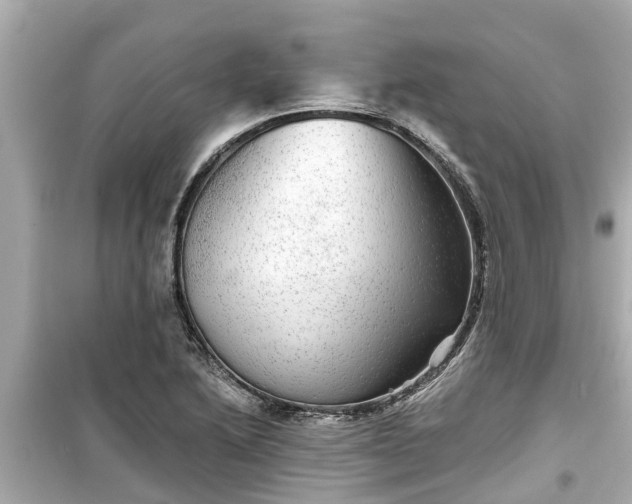 X0000099501222200805221353