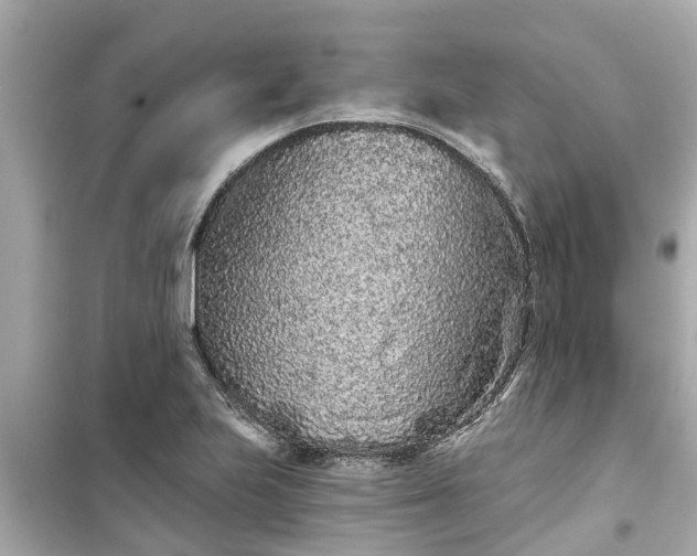 X0000099501223200805221353