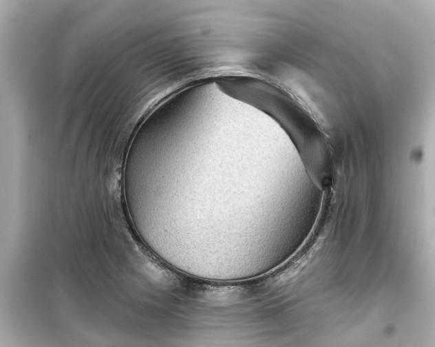 X0000099501225200805221353