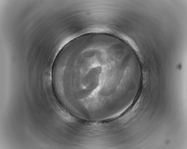 X0000099501226200805221353