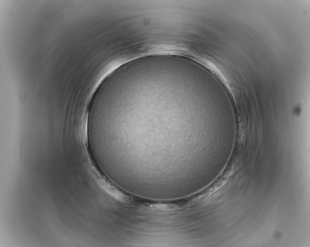 X0000099501227200805221353