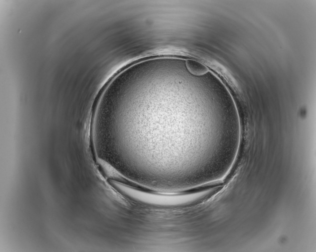 X0000099501228200805221353