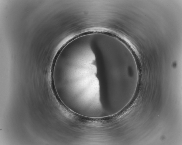 X0000099501229200805221353