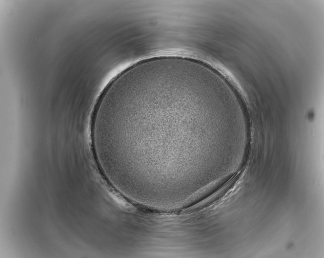 X0000099501230200805221353