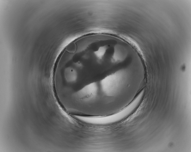 X0000099501231200805221353